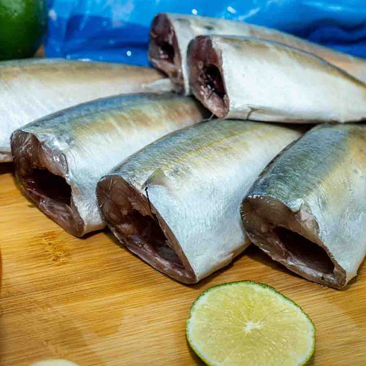 INDIAN MACKEREL SCALED, GTD,GILLED,GINS OFF TAIL OFF 1.5 LB - Captains Frozen Fish