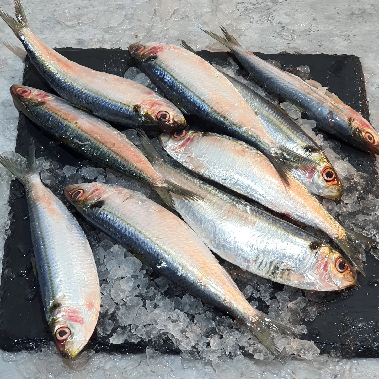 Fresh Sardine ( മത്തി ) 1 Lbs