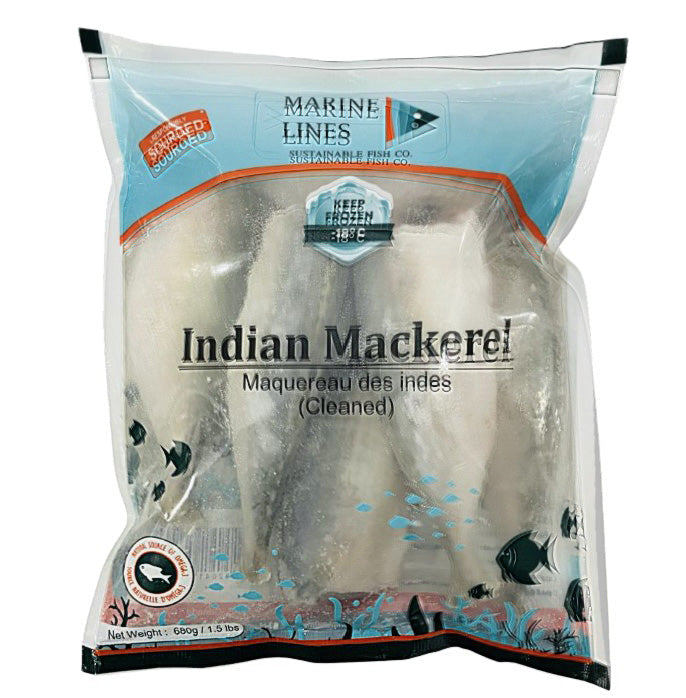 Marine Line Mackerel