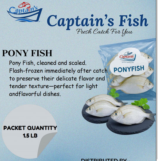 PONY FISH 1.5LB - Captains Frozen Fish