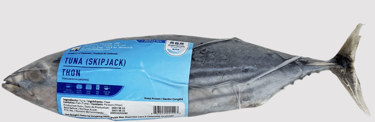 Searay Skipjack Tuna Whole