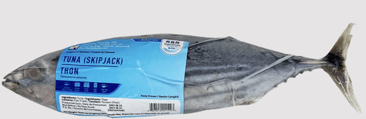 Searay Skipjack Tuna Whole