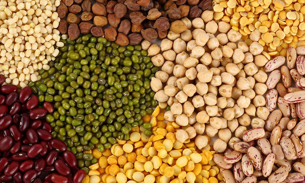 Dal & Pulses