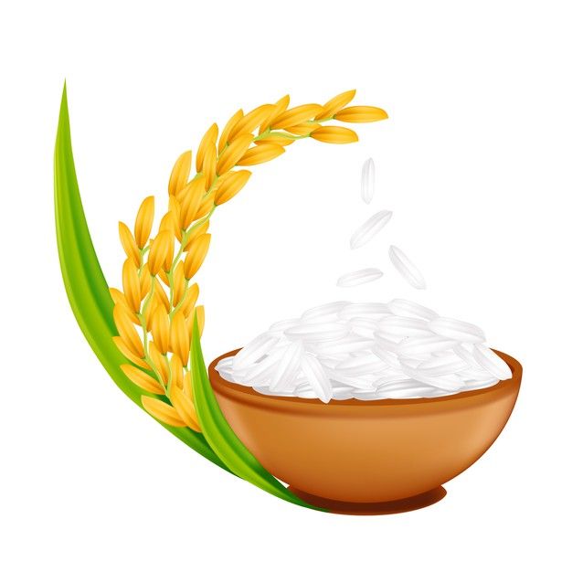 Rice & Rice Products