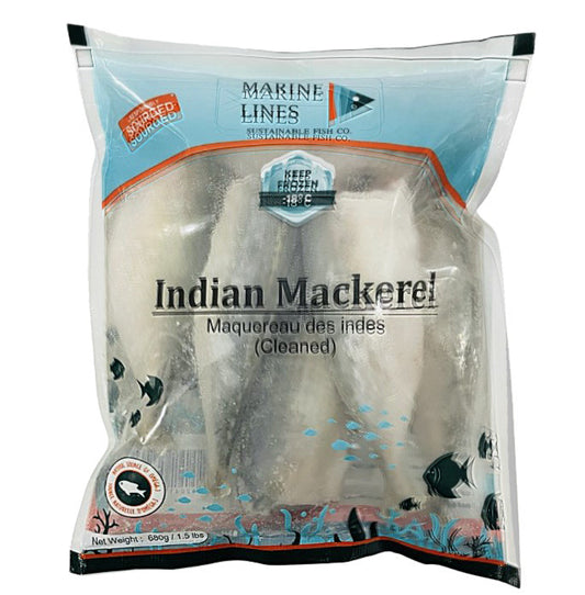 Marine Line Mackerel