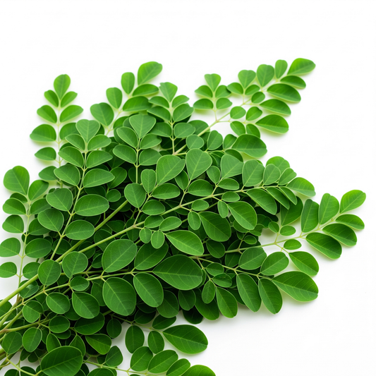 Muringa Leaves Bunch